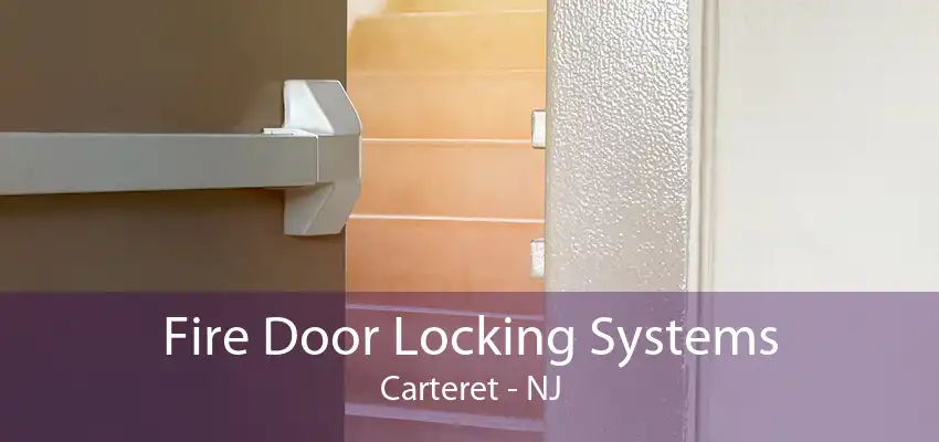 Fire Door Locking Systems Carteret - NJ