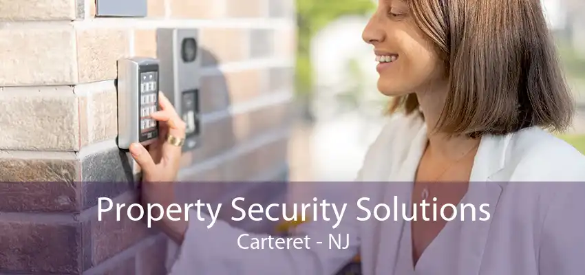 Property Security Solutions Carteret - NJ