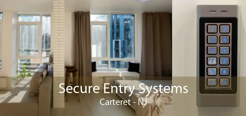 Secure Entry Systems Carteret - NJ